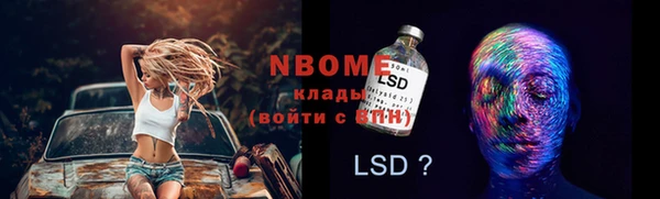 мяу мяу мука Аркадак