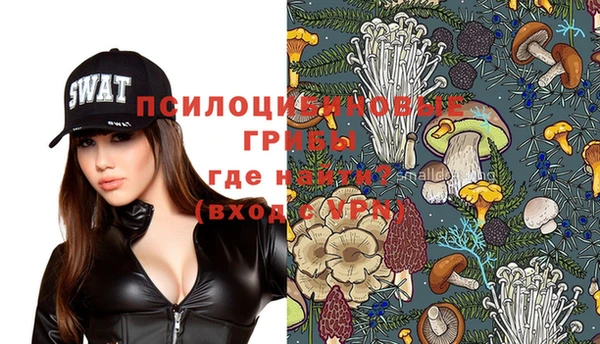 мяу мяу мука Аркадак