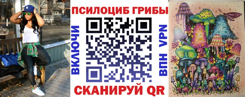 Псилоцибиновые грибы Psilocybe  Камбарка 